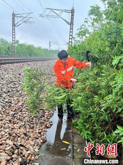 图为铁路职工在清理入侵铁路线的树枝。南铁赣州工务段供图